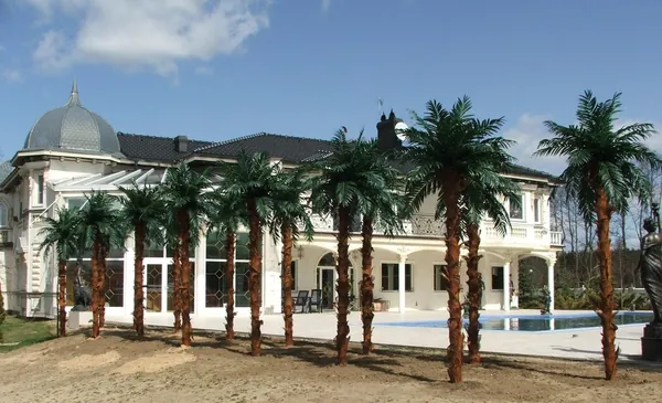 Aleja palm przed hotelem