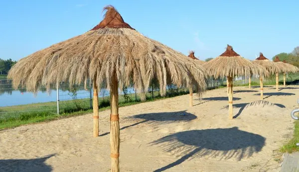 Parasole hawajskie nad woda