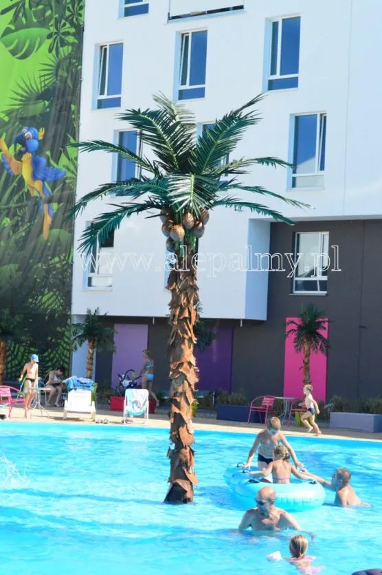 Palma nad basenem zewnetrznym