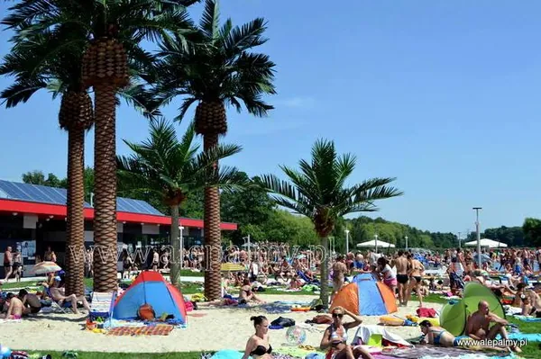 Plaza z palmami w dzien otwarcia sezonu