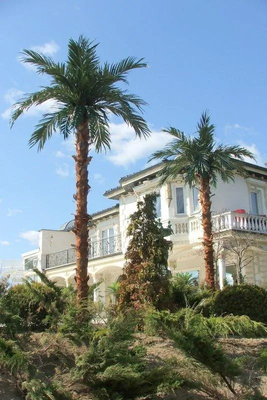 Palmy przy budynku hotelowym