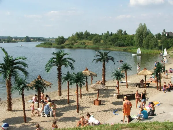 Palmy wzdluz linii brzegowej